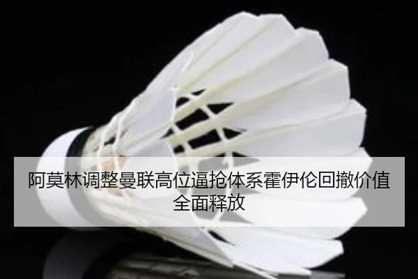 阿莫林调整曼联高位逼抢体系霍伊伦回撤价值全面释放