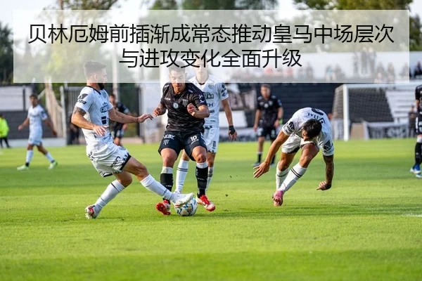 img_1783707743867_374_1_507.jpg